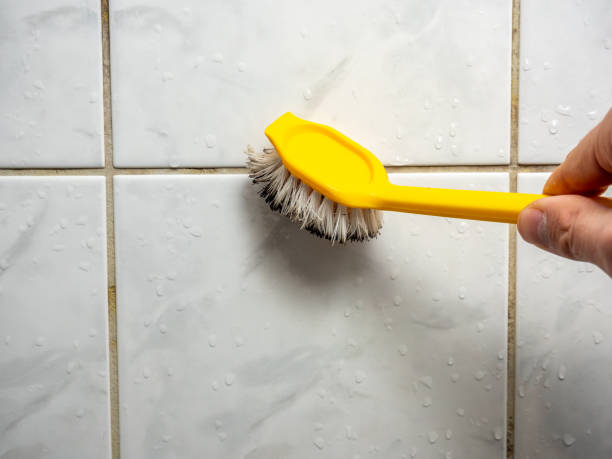 Professional Mold Remediation in Hudson, PA